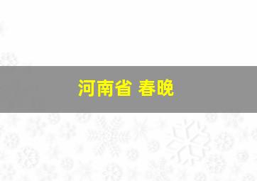 河南省 春晚